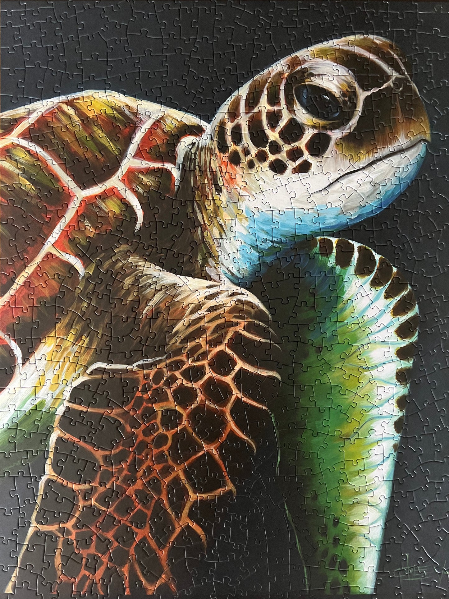 Sea Turtle Puzzle